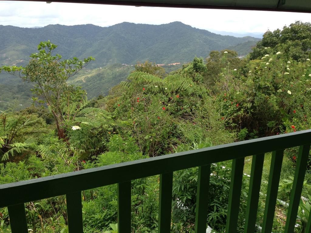 Bundu Tuhan D'Villa Rina Ria Lodge, Kinabalu Park, Kundasang מראה חיצוני תמונה