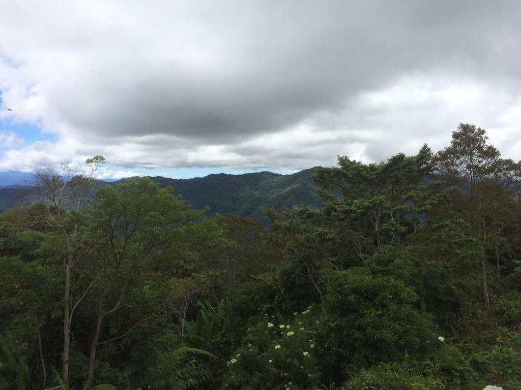 Bundu Tuhan D'Villa Rina Ria Lodge, Kinabalu Park, Kundasang מראה חיצוני תמונה