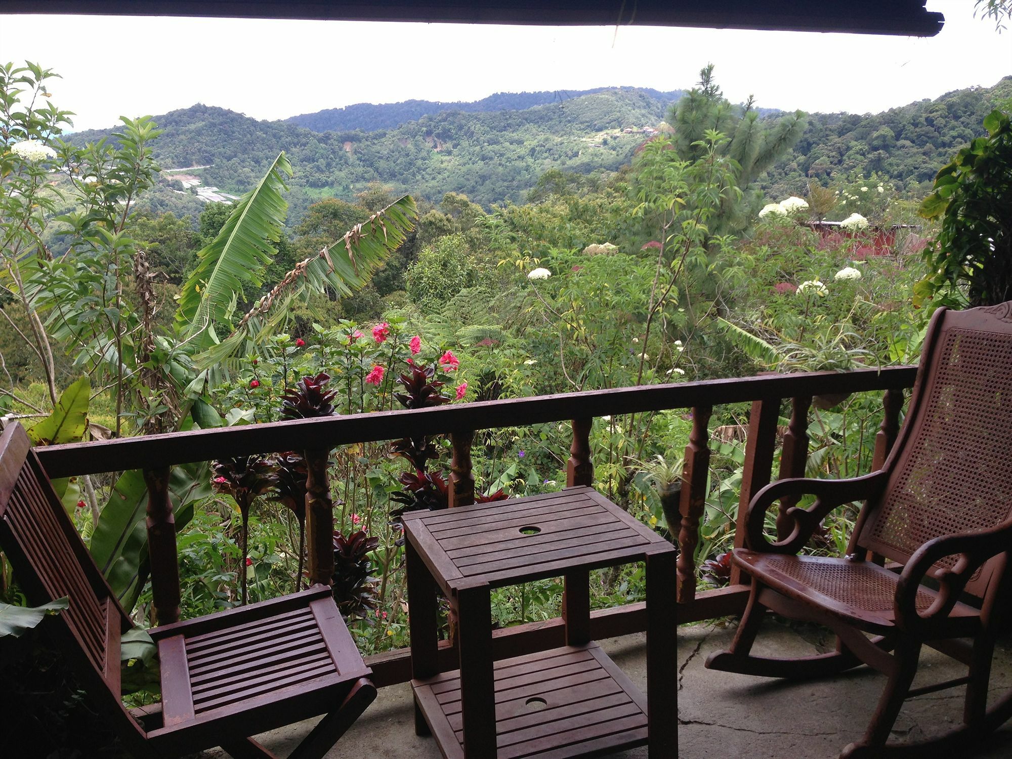 Bundu Tuhan D'Villa Rina Ria Lodge, Kinabalu Park, Kundasang מראה חיצוני תמונה